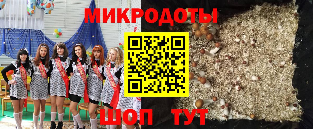 купить закладку  Вход с VPN  Элиста  Псилоцибиновые грибы мухоморы 
